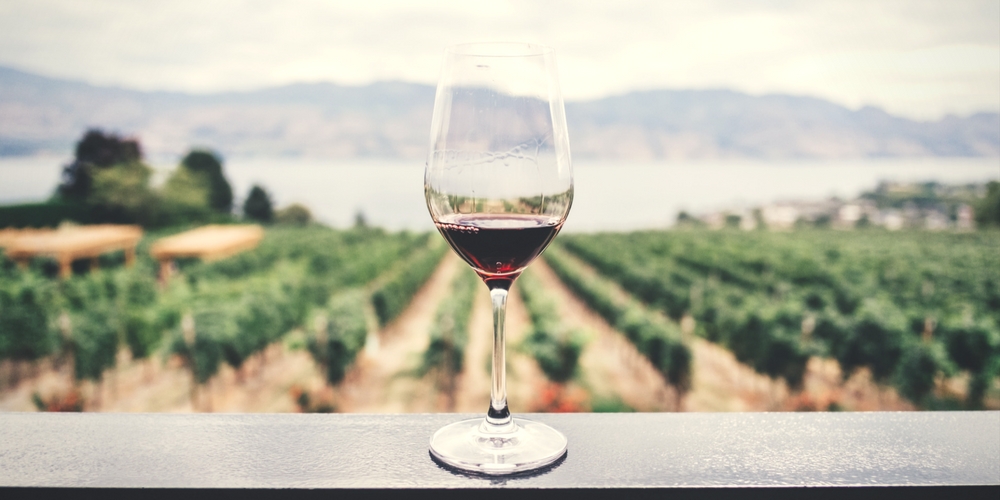 dlaczego warto pić wino - Bubbles bar blog